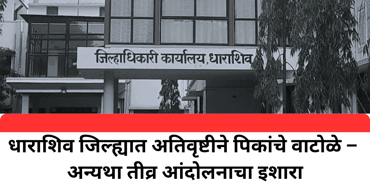 धाराशिव जिल्ह्यात अतिवृष्टीने पिकांचे वाटोळे