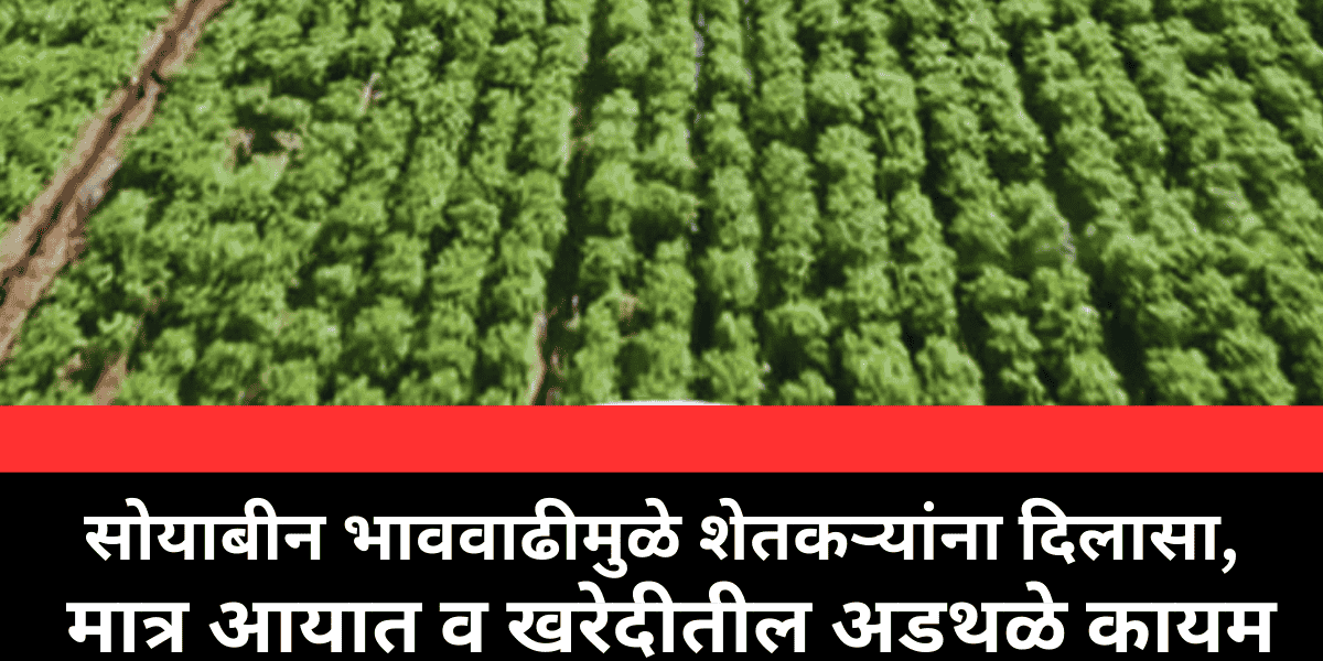 सोयाबीनच्या भावात 500 रुपयांची वाढ – शेतकऱ्यांना दिलासा