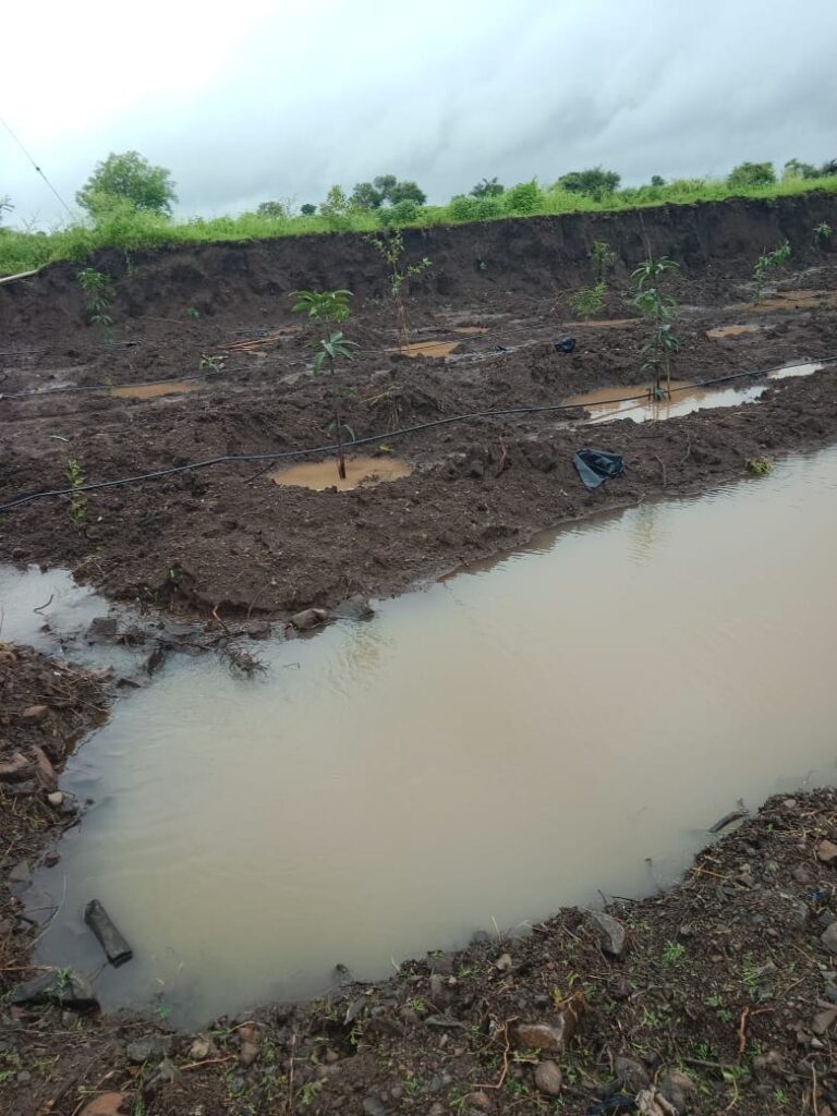 Lohara Pawanchakki Company Dadagiri